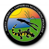 Logo - NAAMPIII